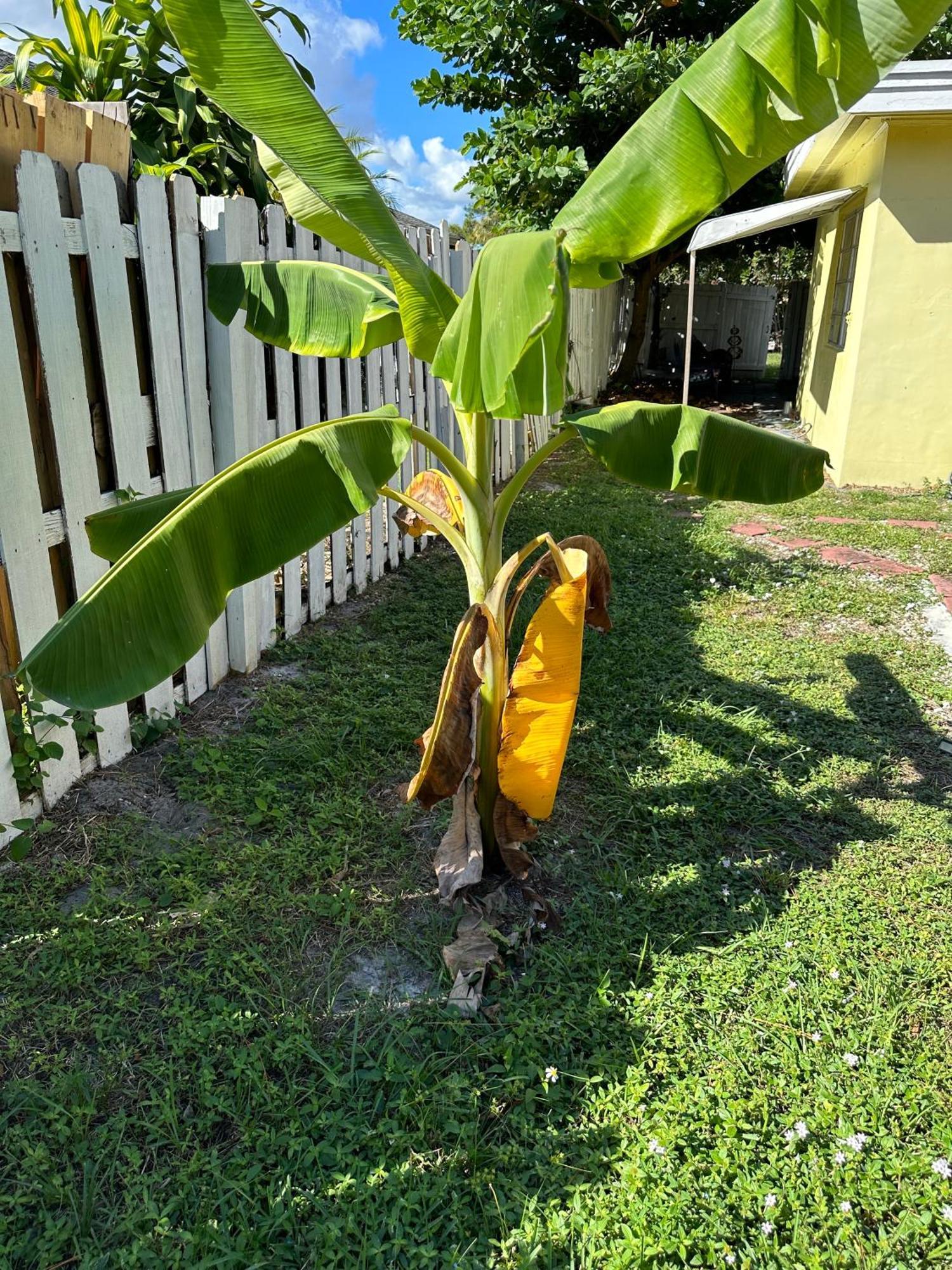3 Bedroom House Fenced Backyard Private Patio Areas Grill Firepit Plenty Parking! Quick Access 10 Min To Airport Delray West Palm * Lake Worth Beach